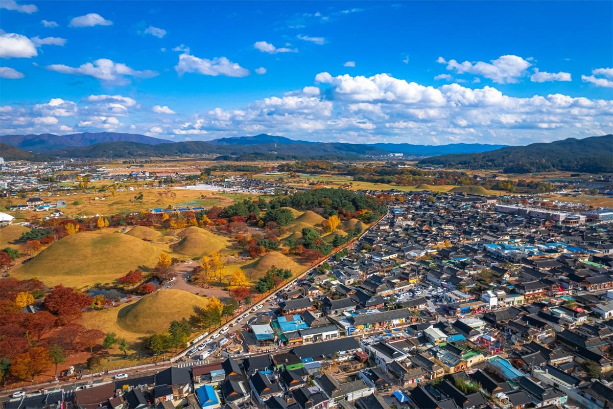 Gyeongju Maple
