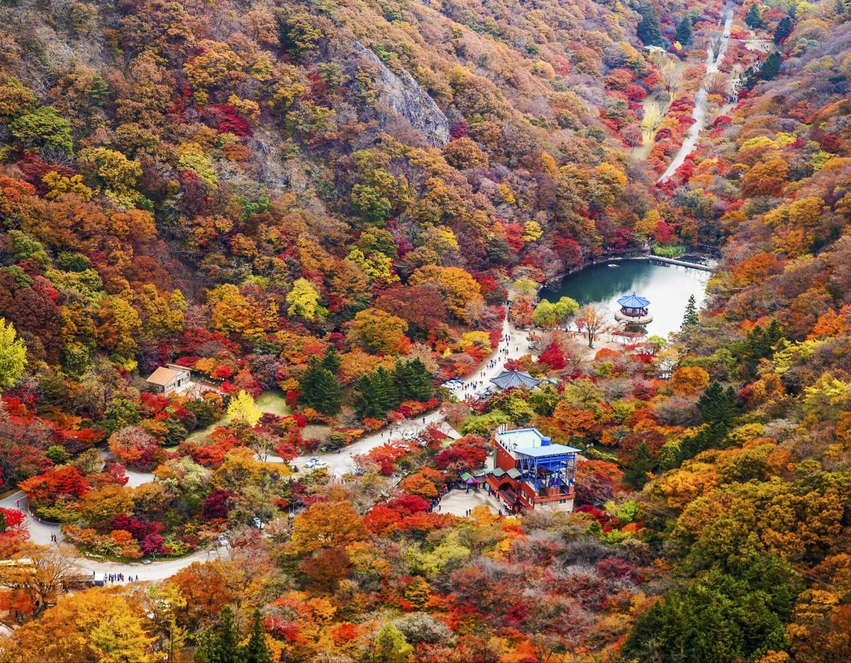 Naejangsan valley in autumn with red, orange, yellow foliage, winding paths, pond with pavilion and small temple buildings.