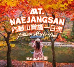 Tur Sehari ke Dedaunan Musim Gugur NaejangsanㅣKeberangkatan dari Seoul (Diskon pemesanan awal hingga 10 November)