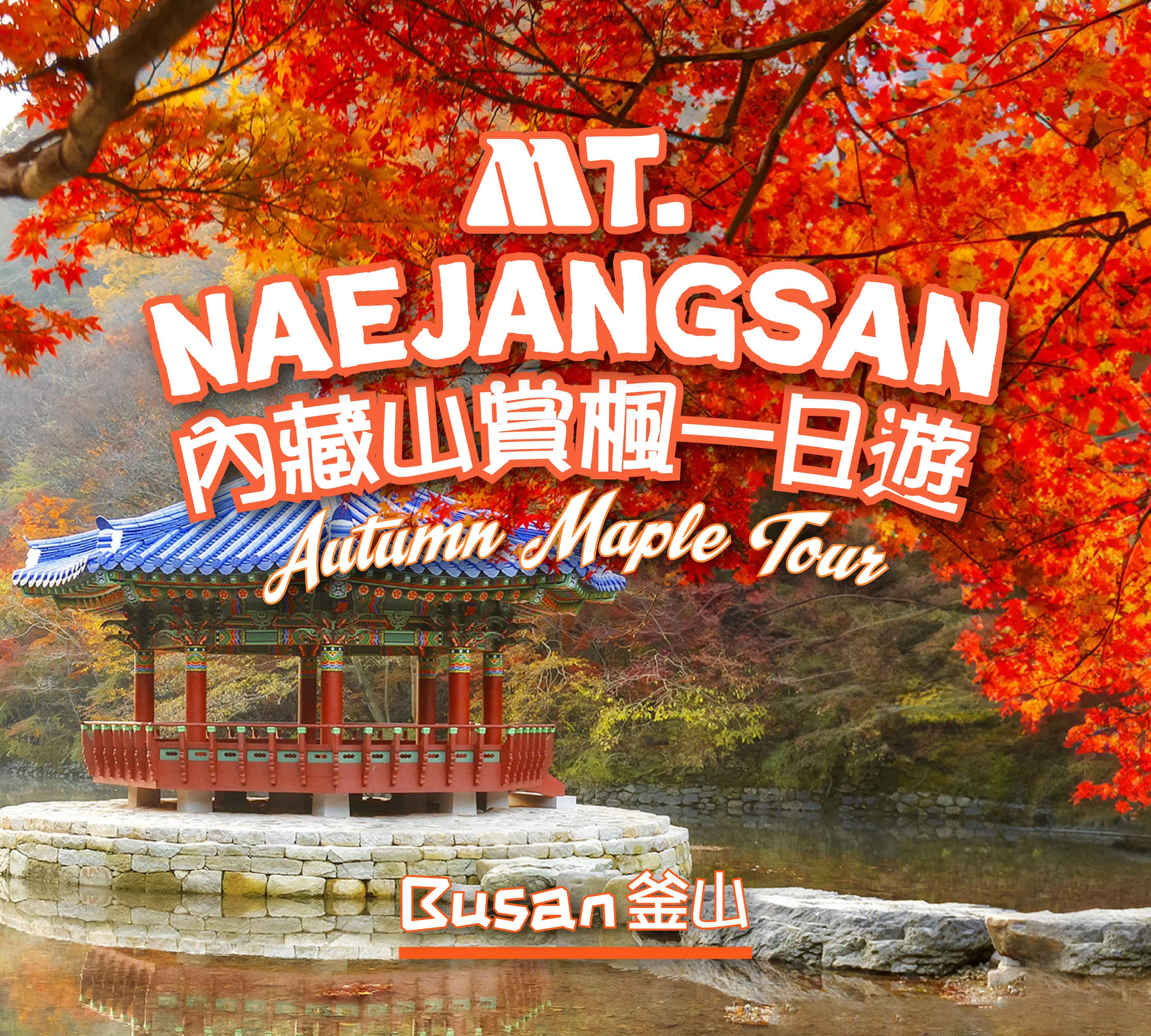 早鳥🍁韓國內藏山賞楓一日遊（釜山出發）-image