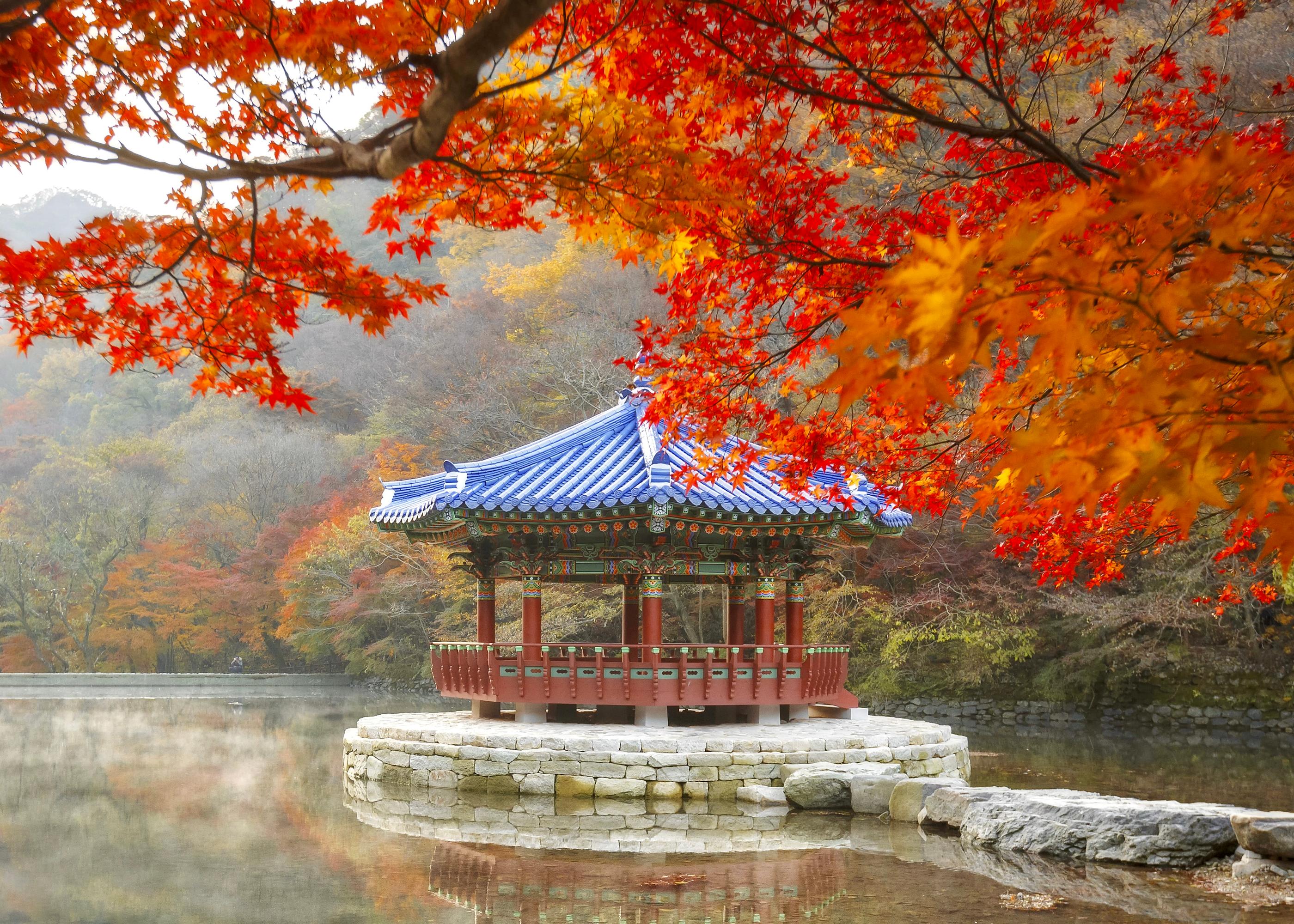 Naejangsan autumn foliage