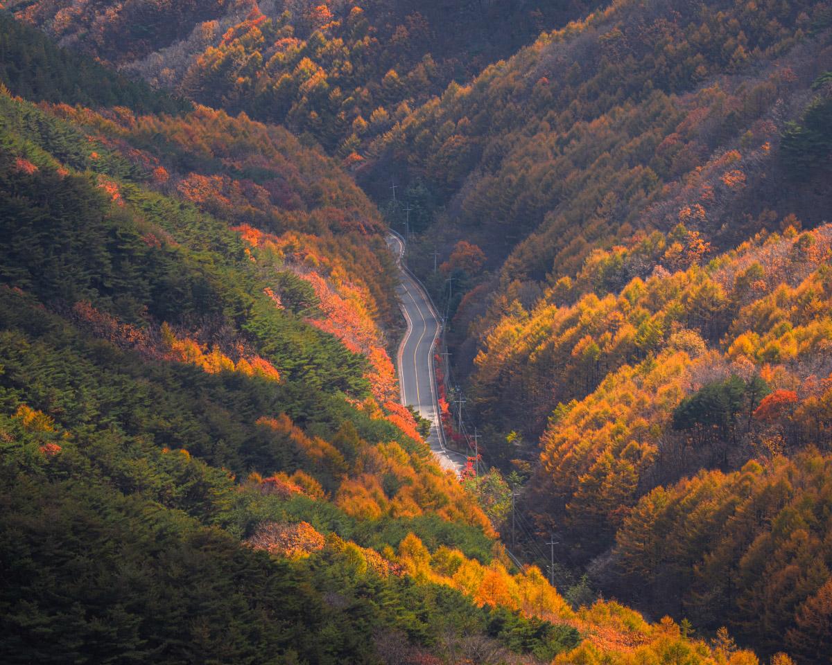 🎁Palgongsan Mountain Fall Foliage Tour (from Busan) | Fall Foliage Day Tour