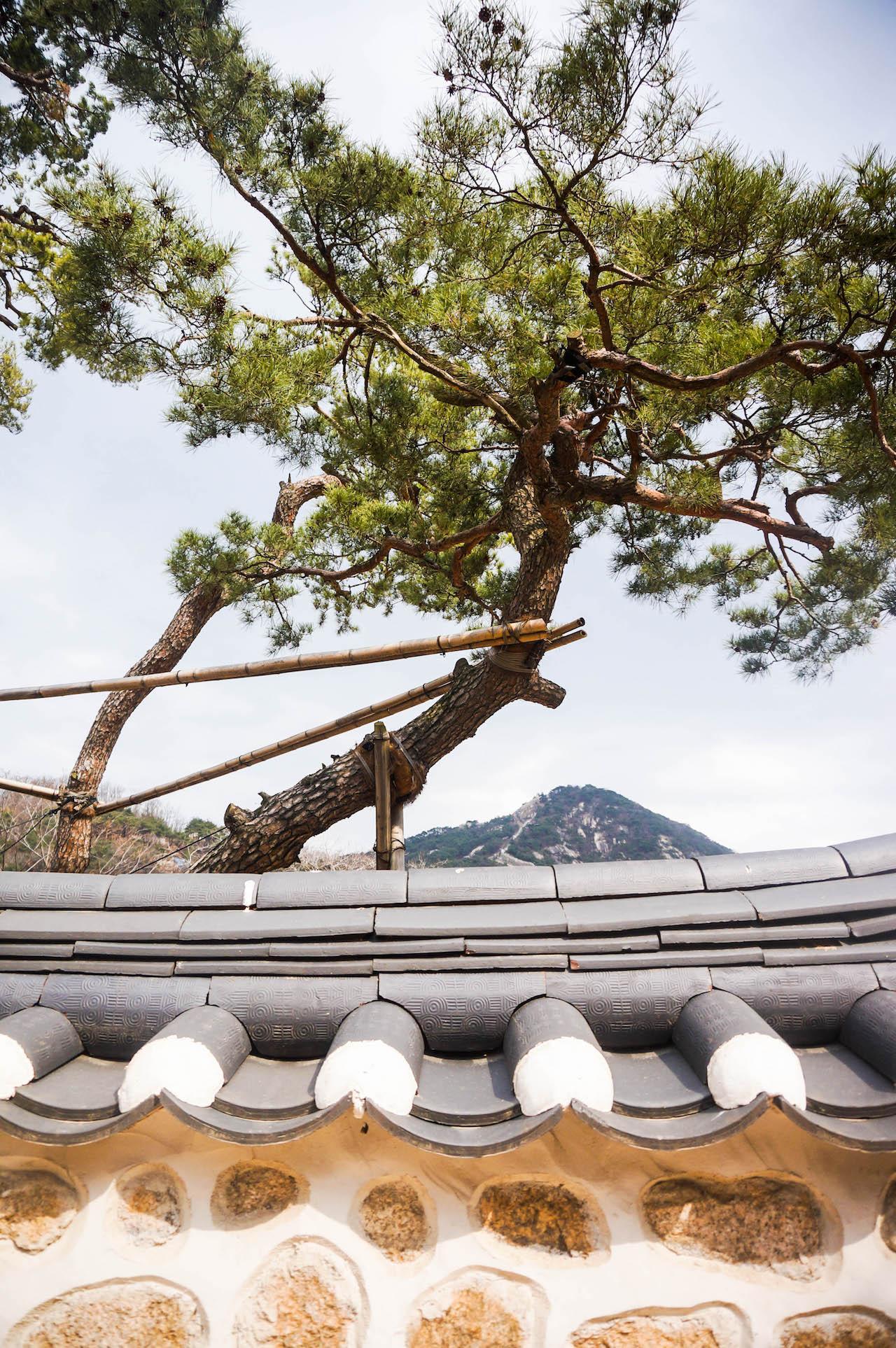 Scenic view of Seokpajeong pavilion in nature with trees, clouds, and twigs.