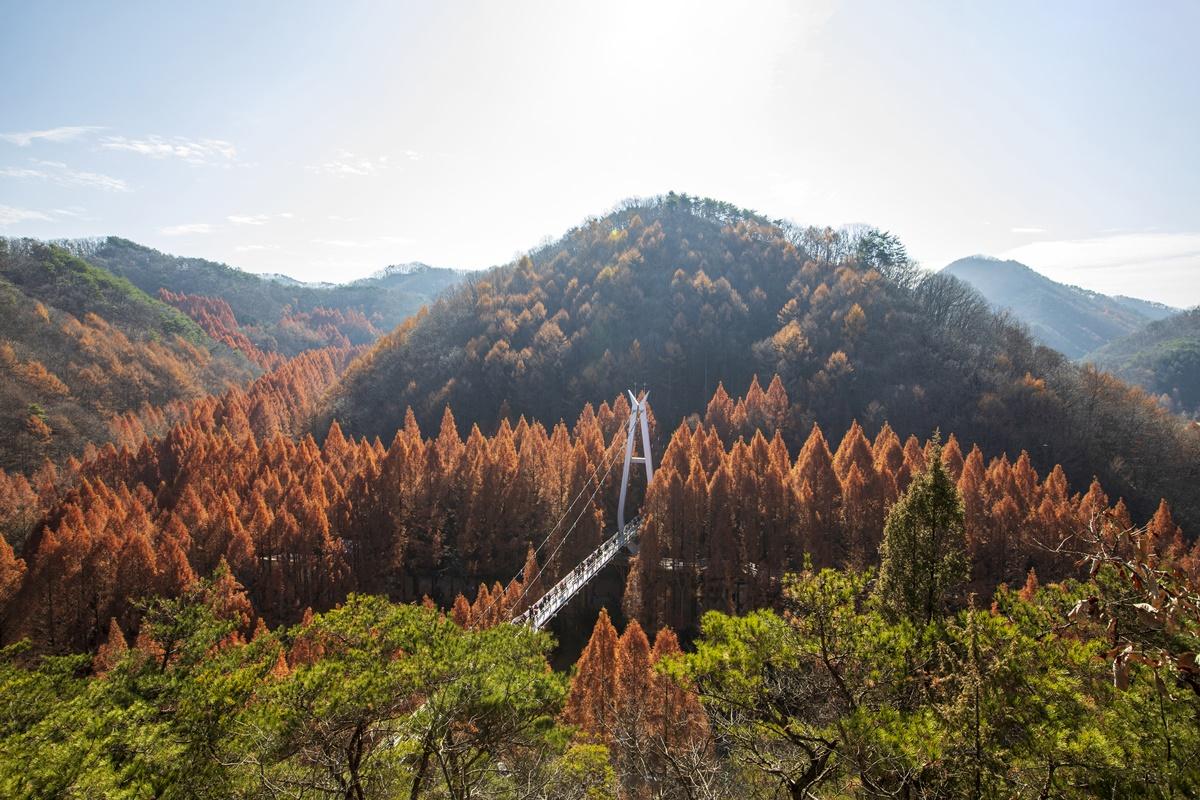 전주한옥마을&장태산/대둔산 자연탐방 투어 