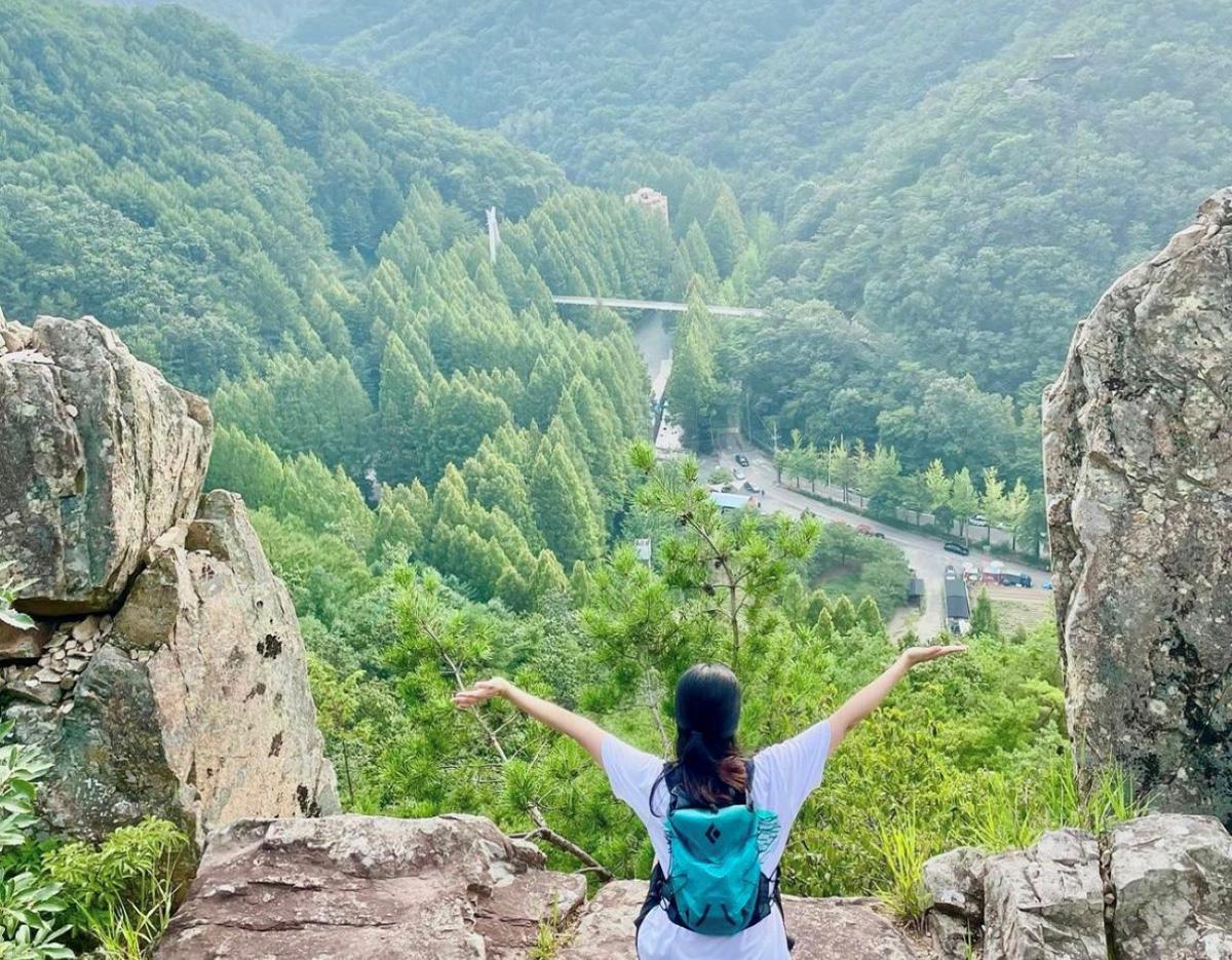 Jeonju Hanok Village & Jangtaesan Serenity Nature Tour