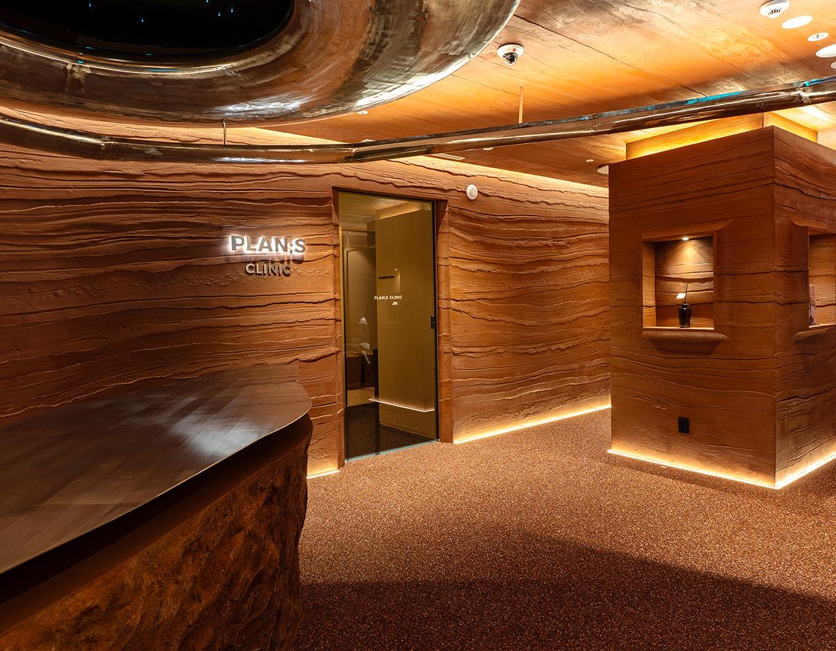 PLAN;S CLINIC
