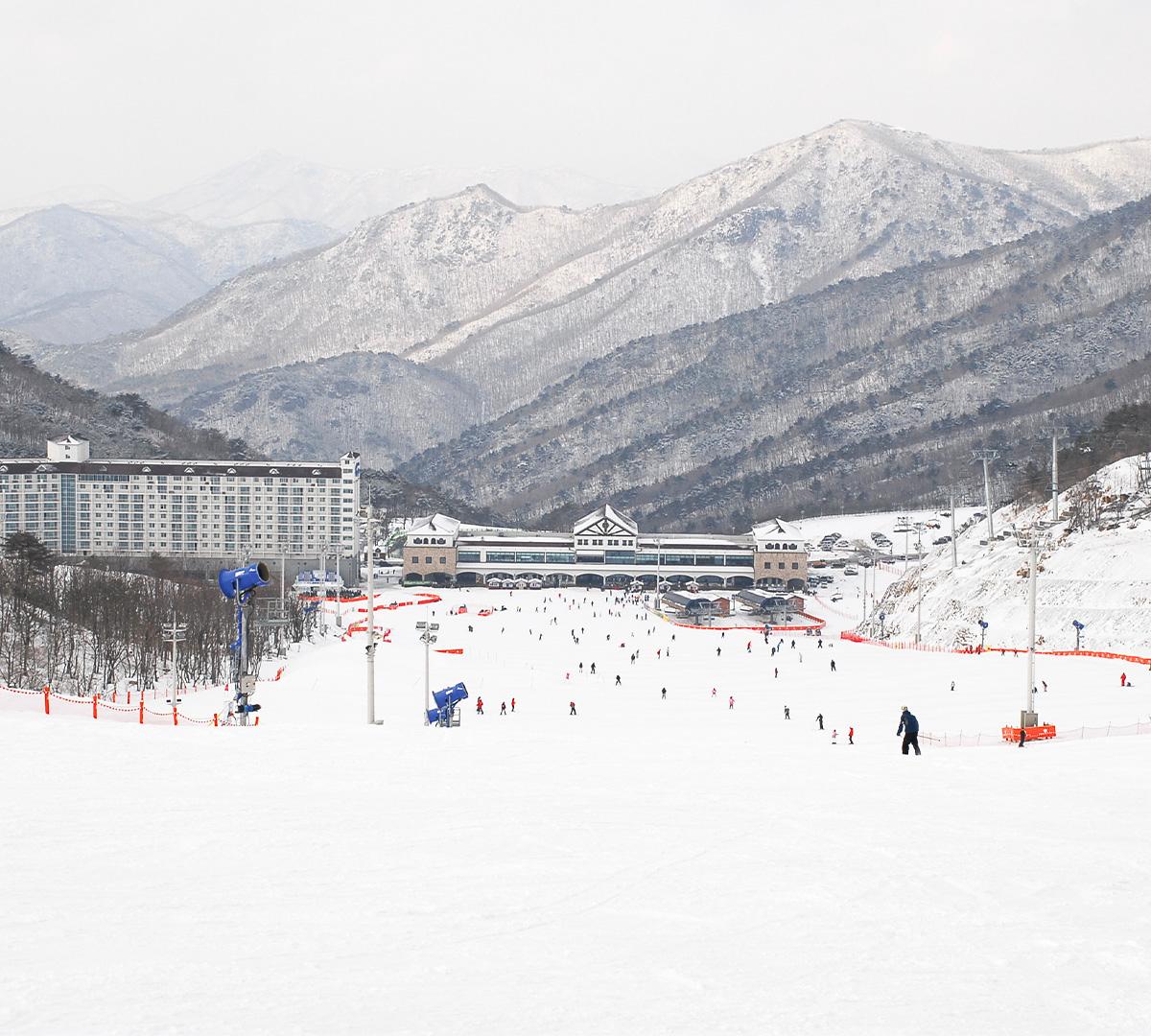 伊甸園滑雪方案任選一日遊（釜山出發）