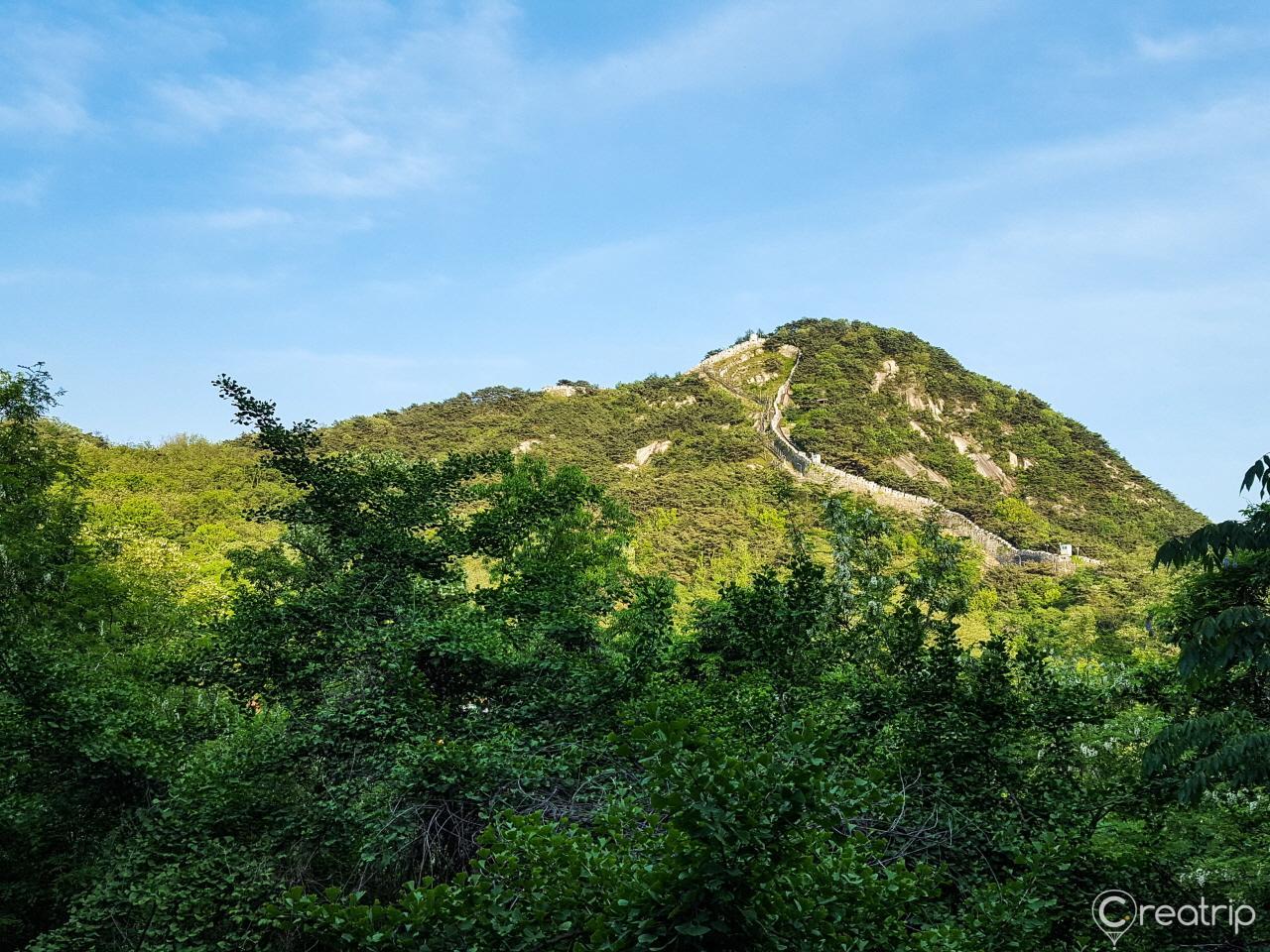 уулын булан image 10