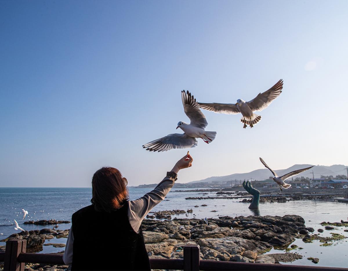 2026 New Year Countdown & Homigot Sunrise Tour from Busan