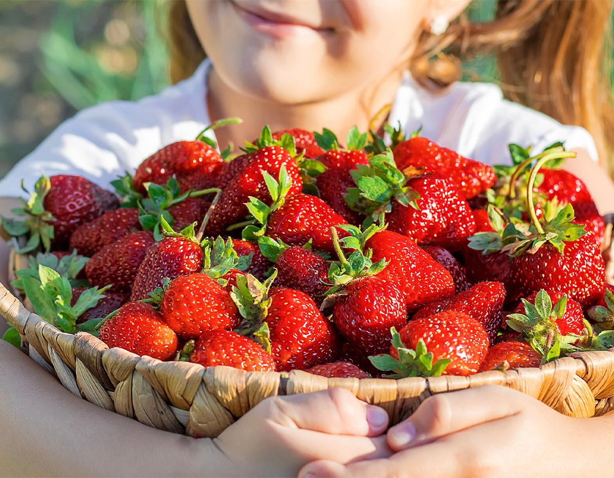 Strawberry Picking + Gapyeong Sledding + Eobigyegok Ice Valley Tour | Seoul Departure-image