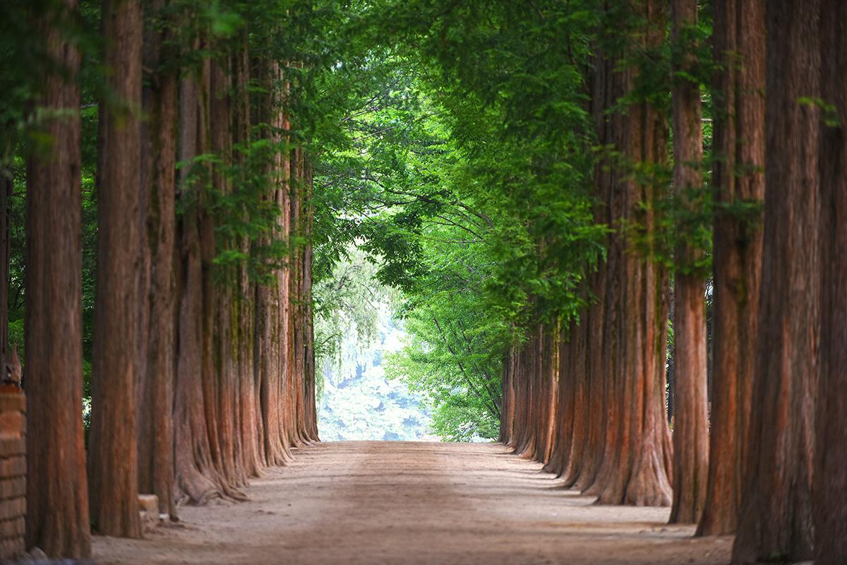 Nami Island