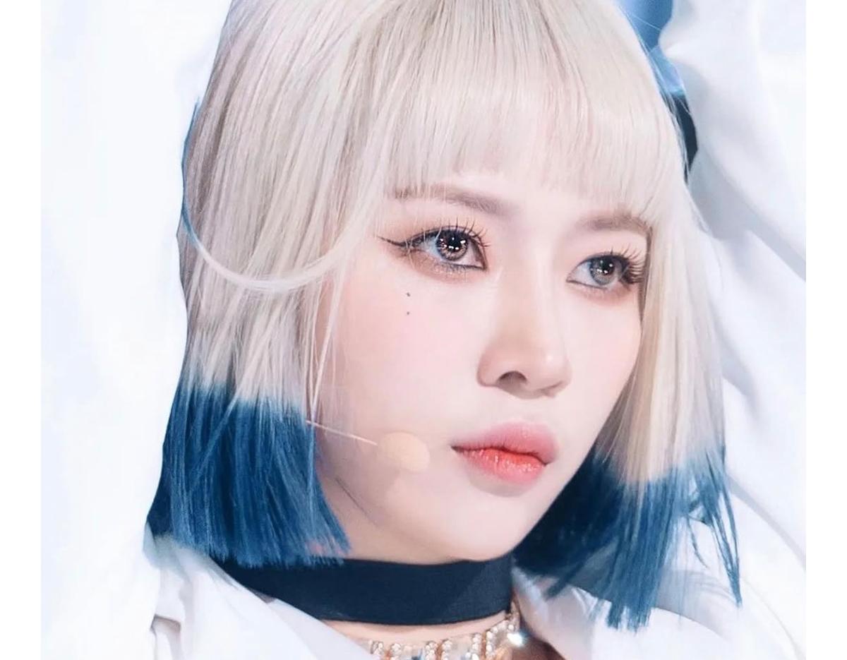 Cheongdam Lona