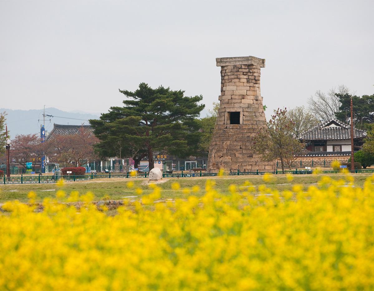 Blue Line Park Sky Capsule + Cherry Blossom & Spring Flower Random Tour (Departing from Busan)