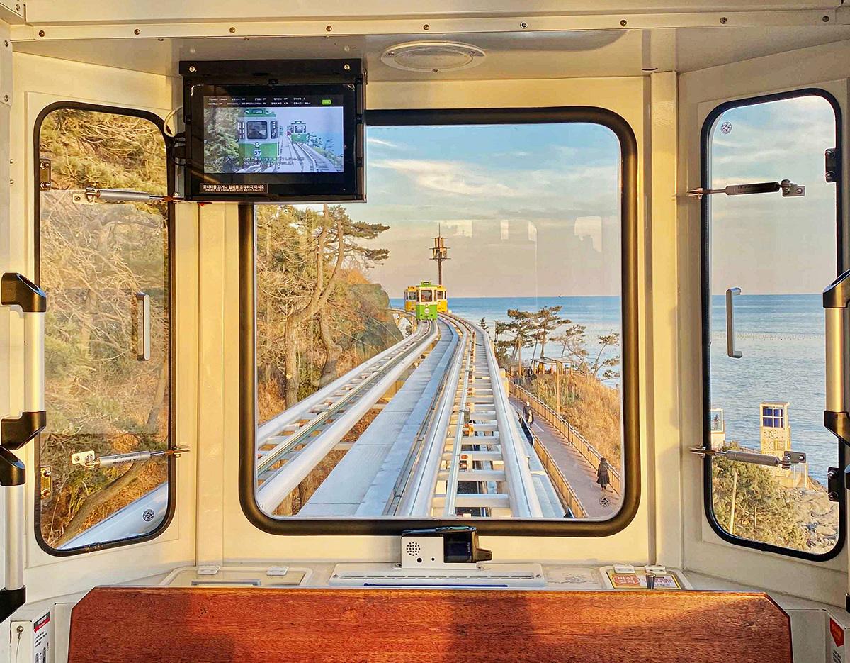 Blueline Park Sky Capsule + Chasing Cherry Blossom