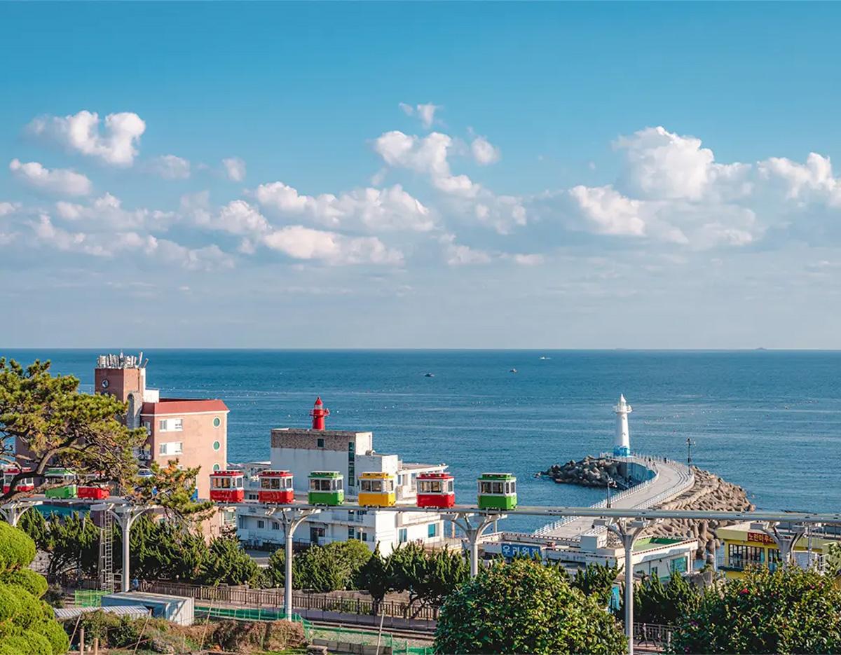Blueline Park Sky Capsule + Cherry Blossom & Spring Flower Random Tour (Departure from Busan)