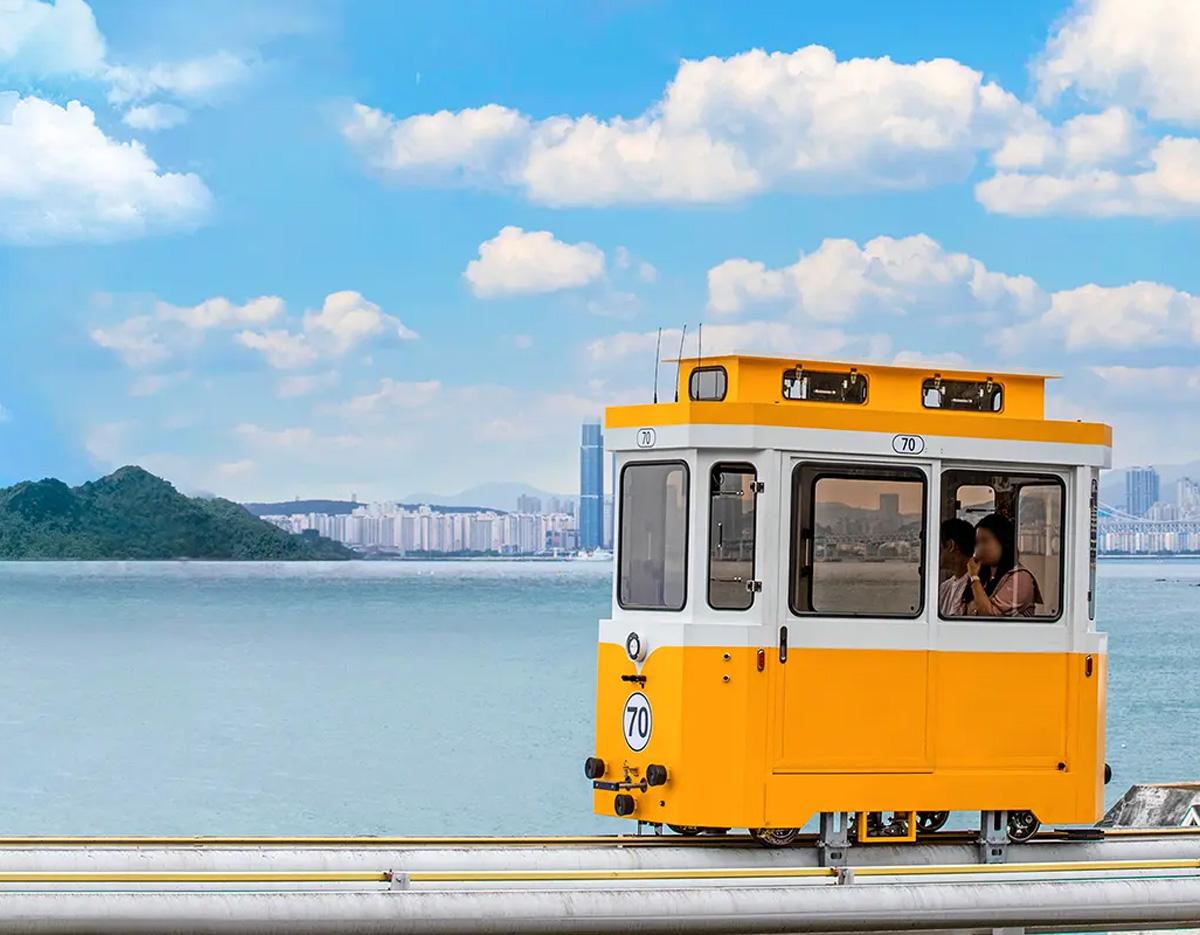 Blueline Park Sky Capsule + Cherry Blossom & Spring Flower Random Tour (Departure from Busan)