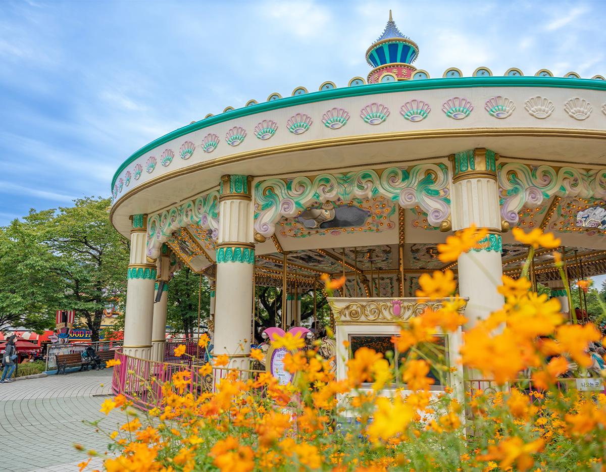 Blue Line Park Sky Capsule + Cherry Blossom & Spring Flower Random Tour (Departing from Busan)