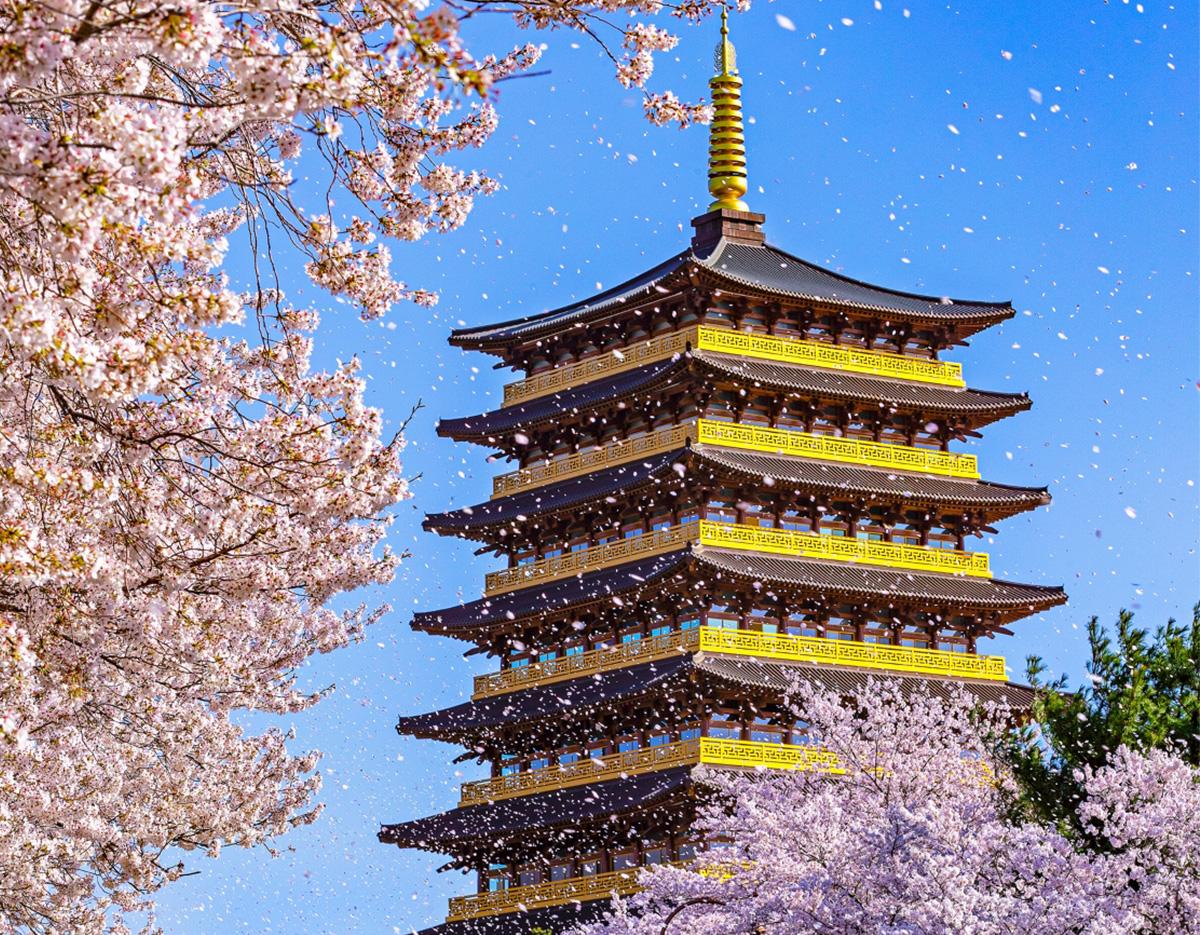 Blue Line Park Sky Capsule + Cherry Blossom & Spring Flower Random Tour (Departing from Busan)