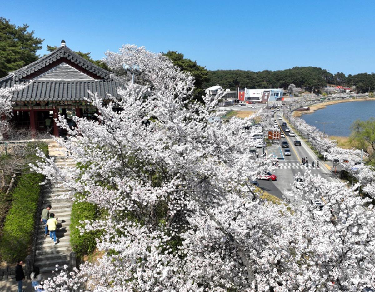 Gyeongpodae