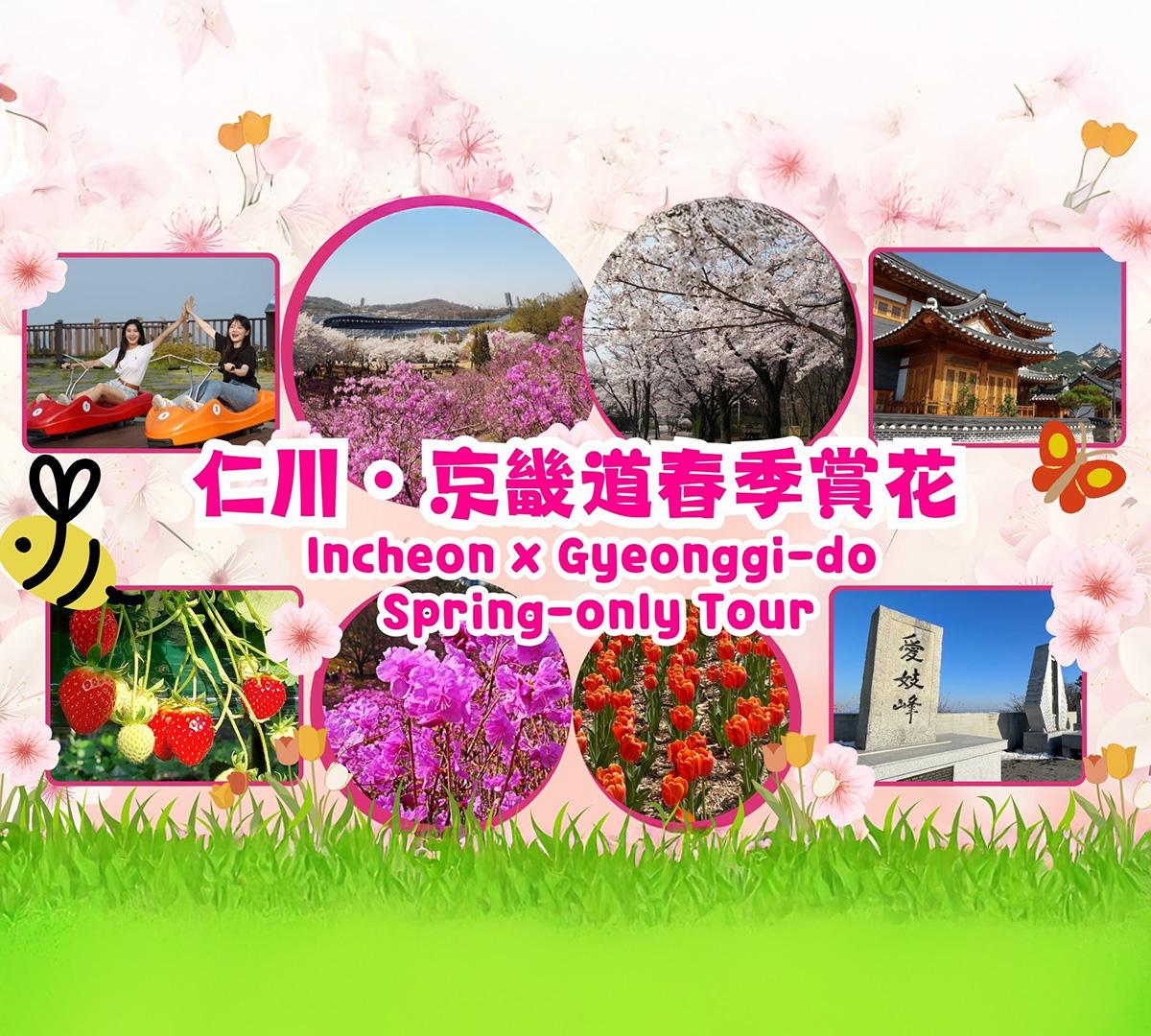仁川/京畿道春季賞花一日遊（首爾出發）-image