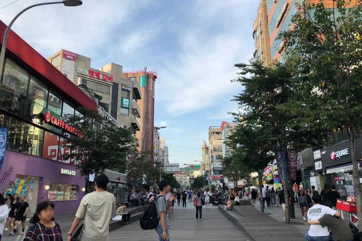 서강대학교