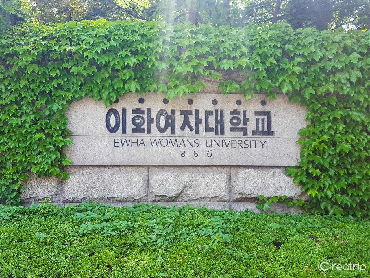 Evergreen shrubs and grasses cover the natural landscape of Ewha Womans University's land lot in Korea.