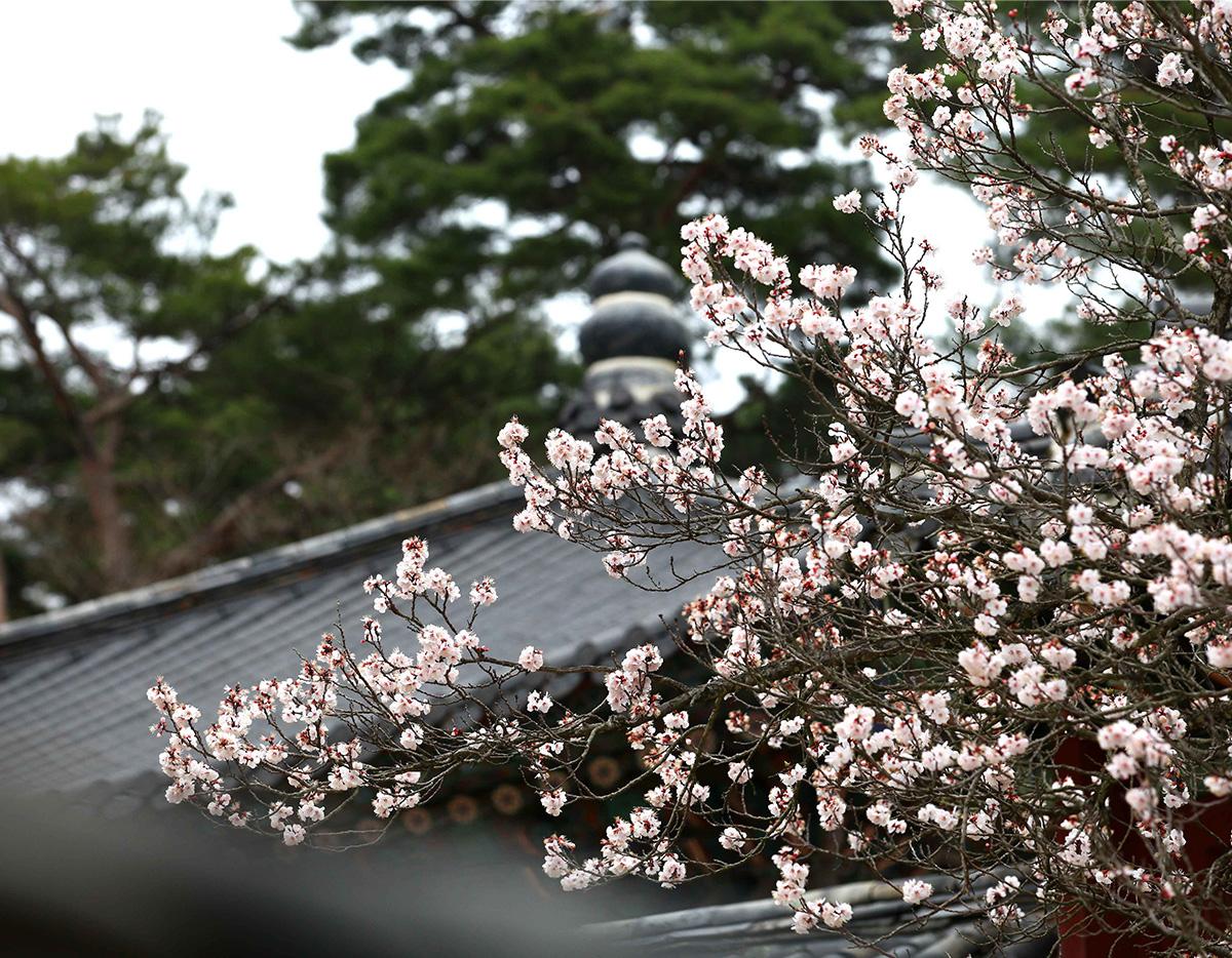 gyeongju