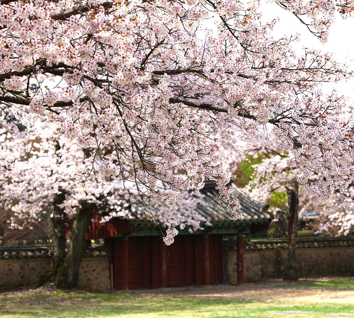 gyeongju