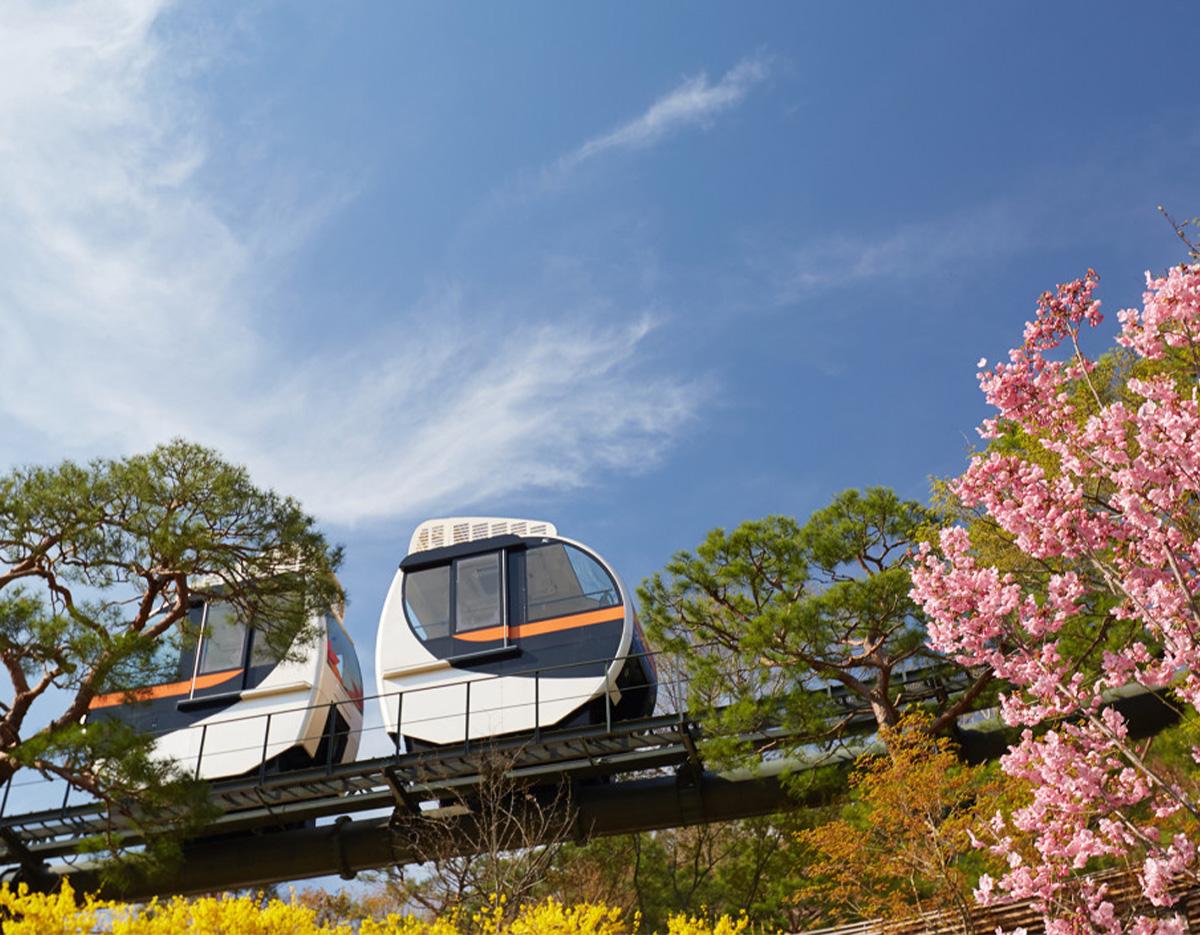 Hwadam Botanic Garden + Zoolung Zoolung + Starfield Hanam Mall Day Tour | Seoul Departure-image