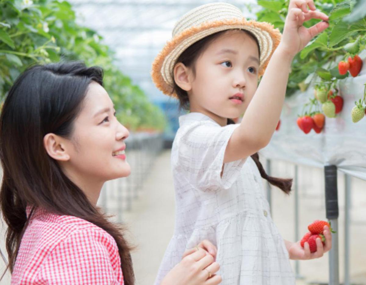 Gangneung Spring Limited Hanok Experience 2Days 1Night Tour