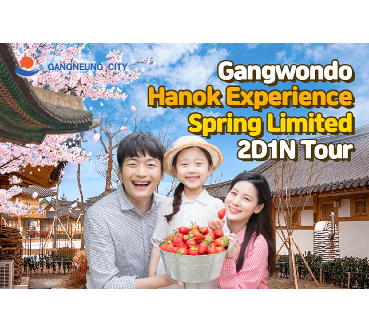 Gangneung Spring Limited Hanok Experience 1 Night 2 Days Tour (Departing from Seoul)-image