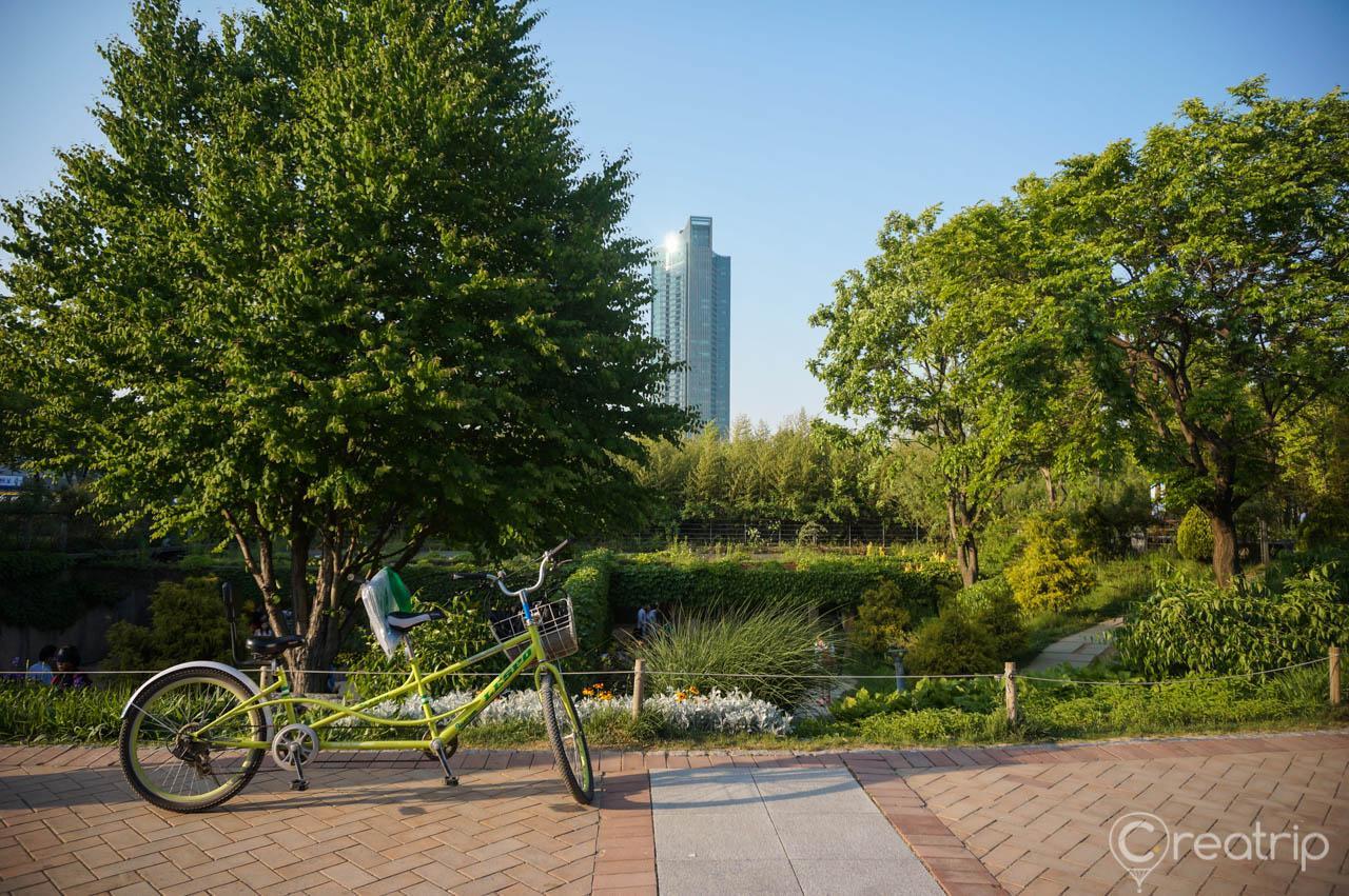 A bicycle parked in Seoul Forest, surrounded by plants and under a clear blue sky.