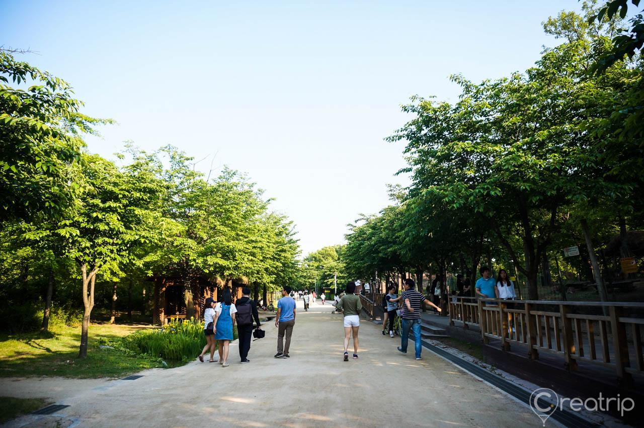 natural landscape with trees and plants at Seoul Forest's public space, overlooking the city skyline.