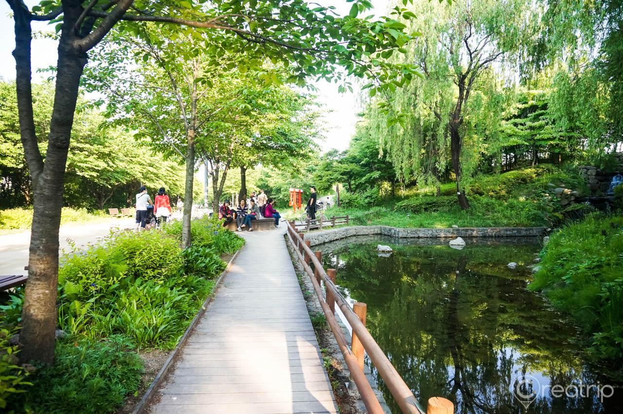 natural landscape at Seoul Forest: Trees, water, grass, and sky; perfect for leisure and recreation.