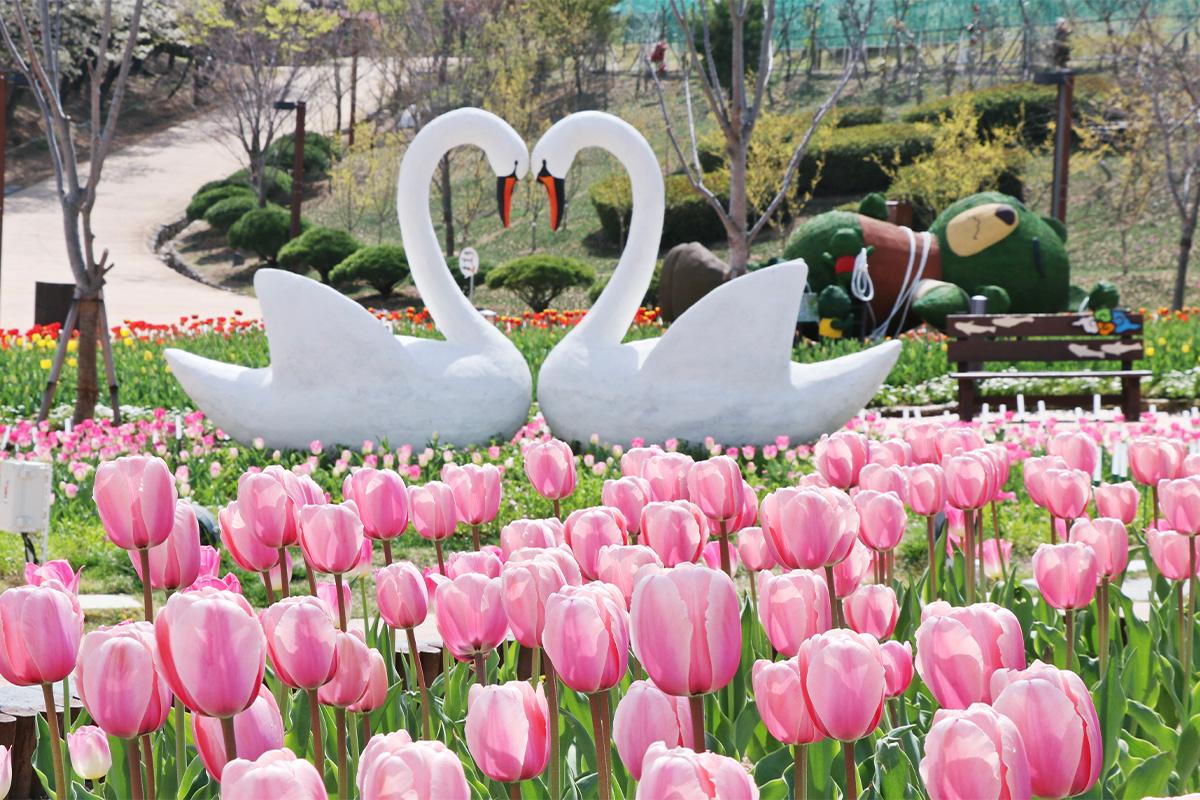 Gimhae Gaya Theme Park + Nakdonggang River Railbike + Gamcheon Culture Village One day tour