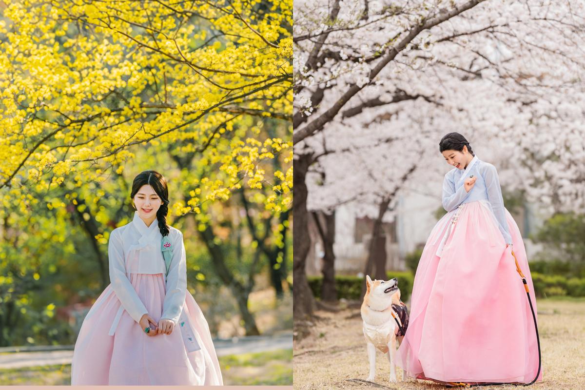 hanbok