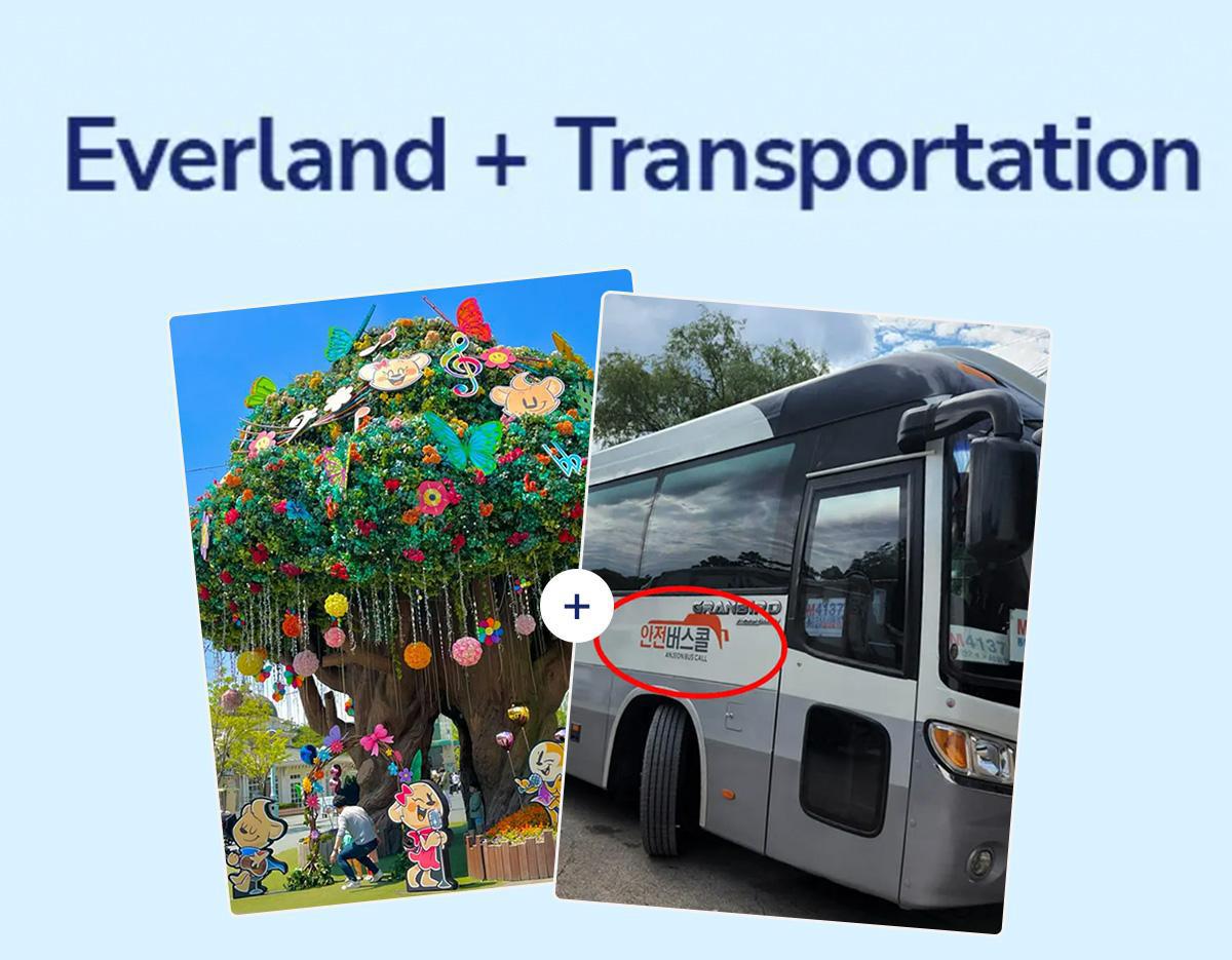 에버랜드 자유이용권