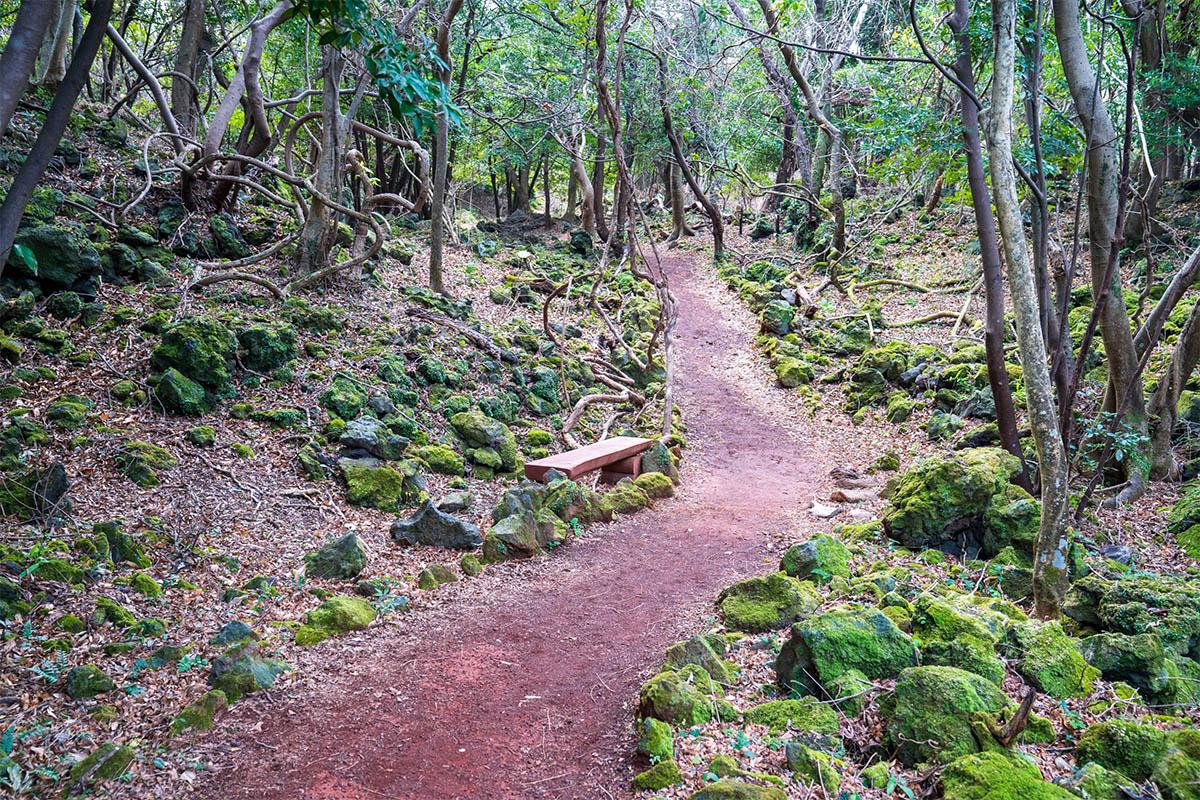 Jeju Healthy Screening Packages 3days