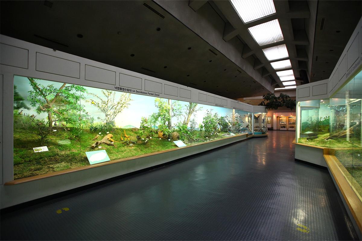 Jeju Healthy Screening Packages 3days