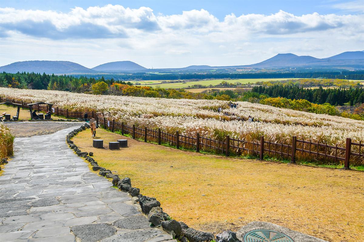 Jeju Healthy Screening Packages 3days