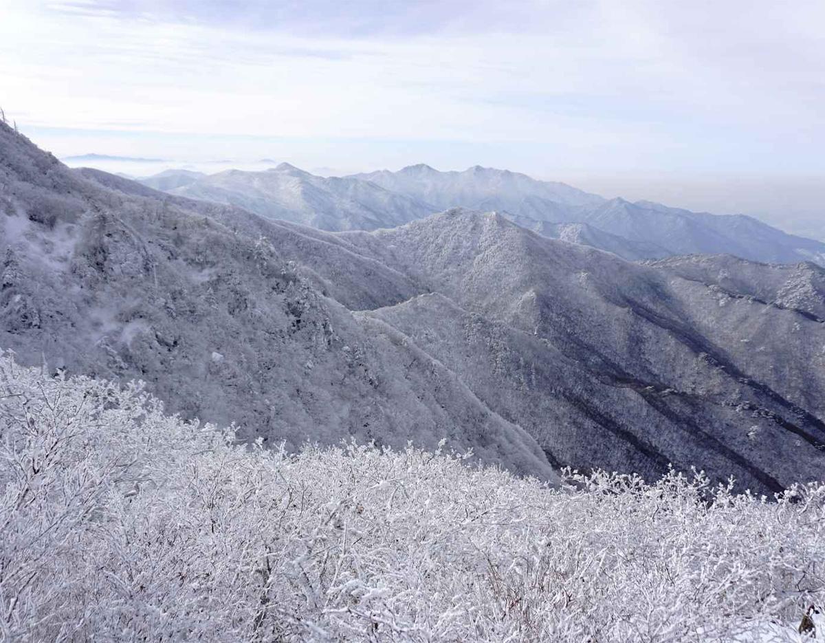 Suwon Hwaseong + Jangtaesan/Deogyusan day tour