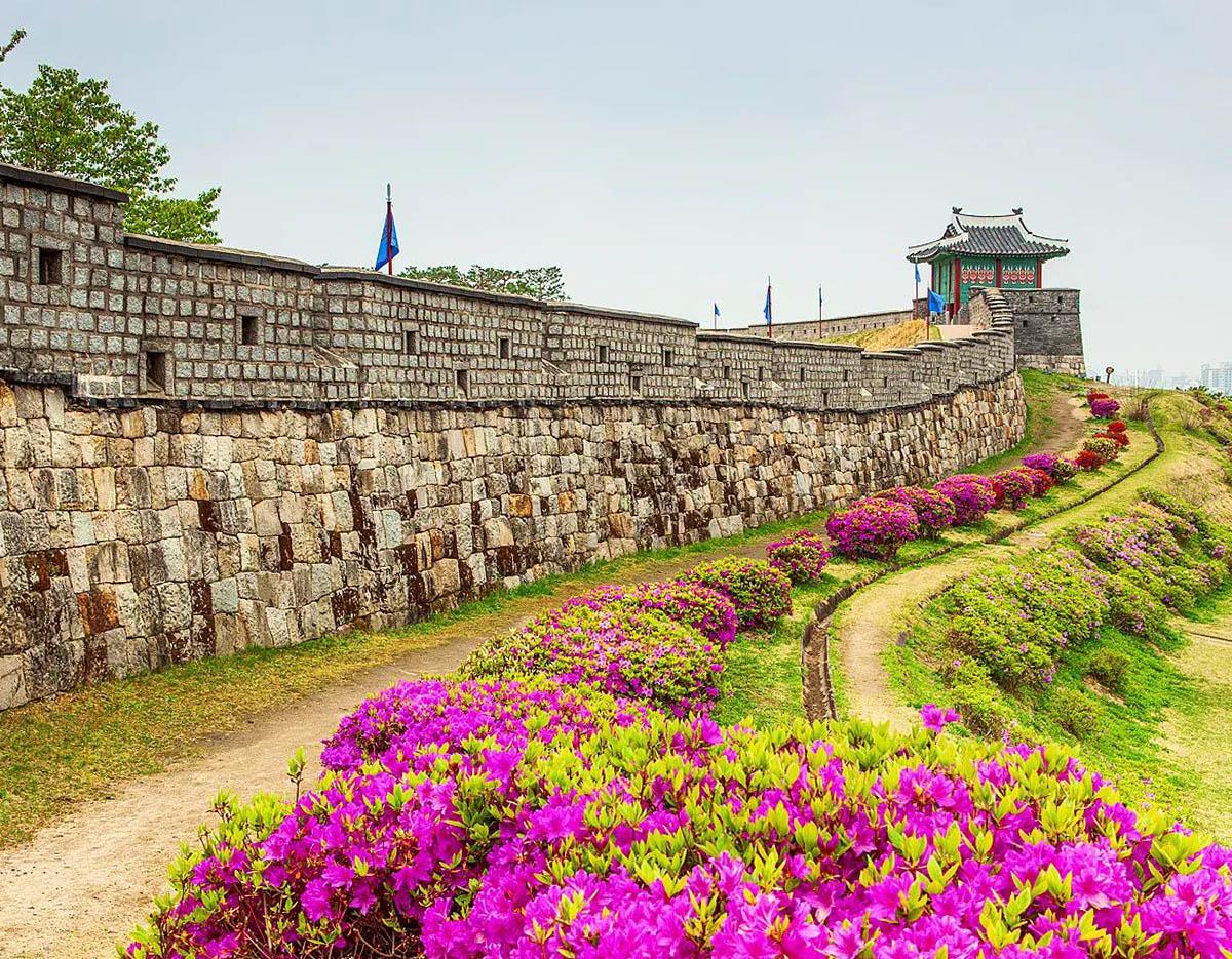 Suwon Hwaseong + Jangtaesan One Day Tour (Departure from Seoul)