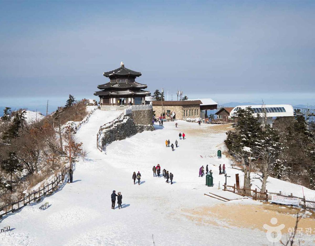 Suwon Hwaseong + Jangtaesan/Deogyusan day tour