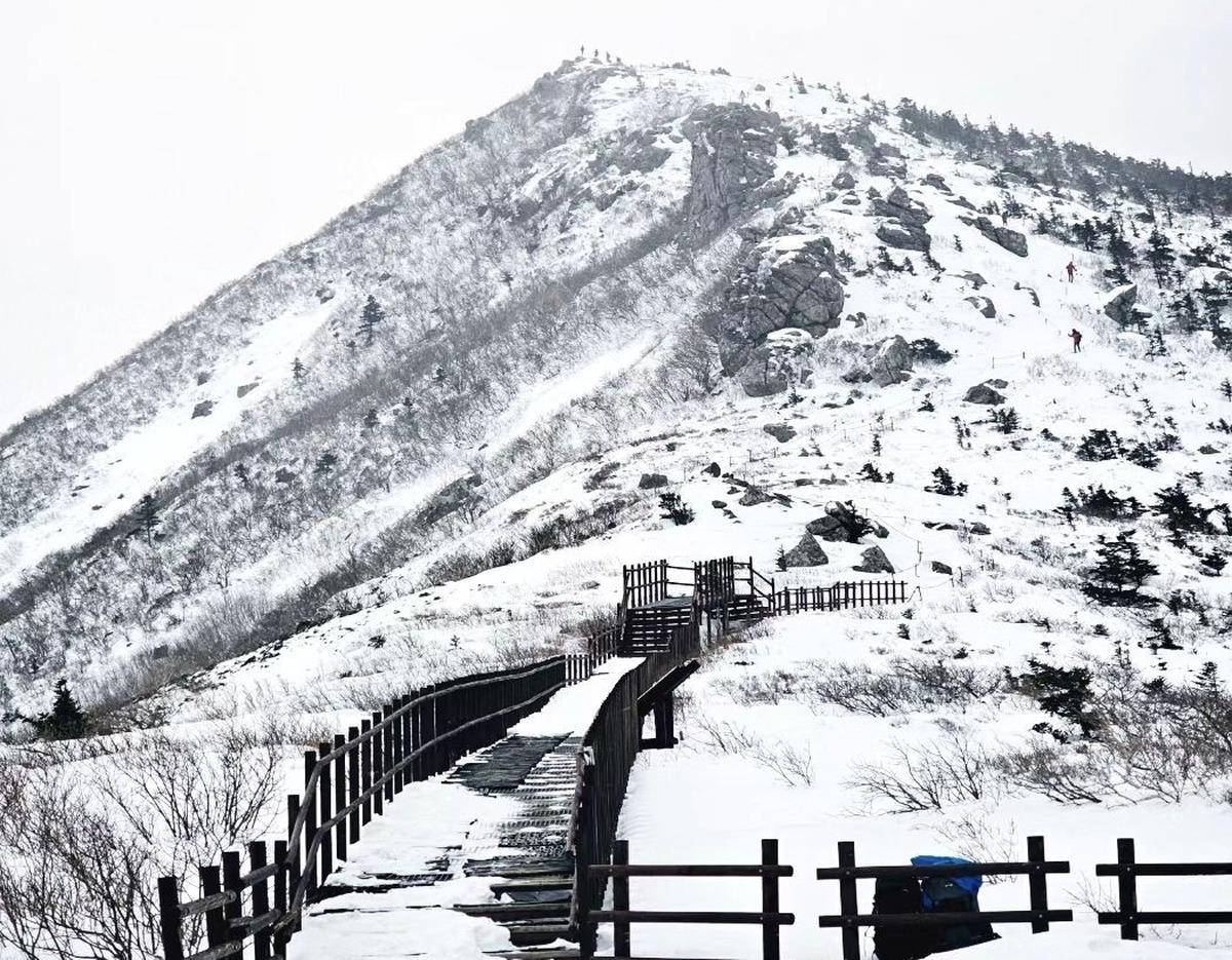 Wondae-ri Birch Forest & Maebawi Icewall