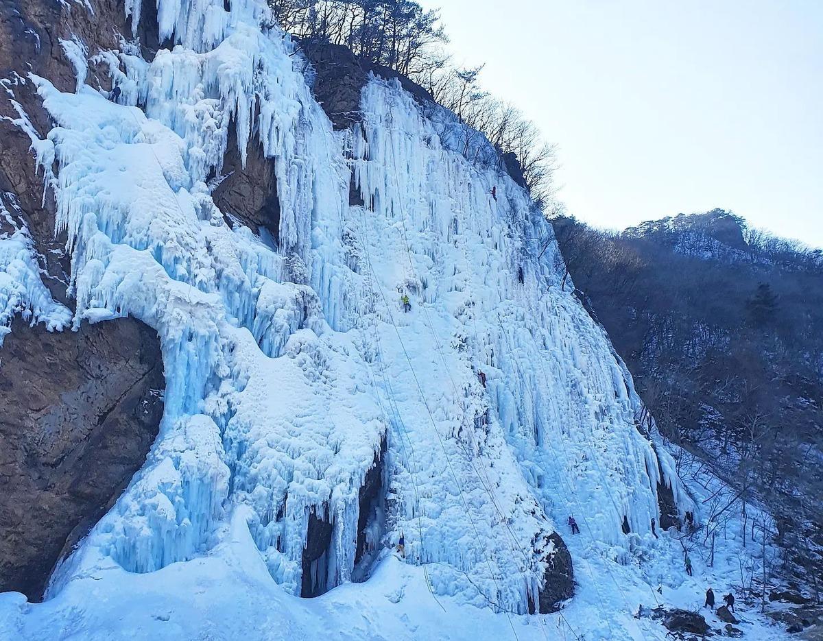 Wondae-ri Birch Forest & Maebawi Icewall