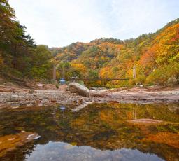 Tour giornaliero di 4 stagioni di SeoraksanㅣPartenza da Seoul