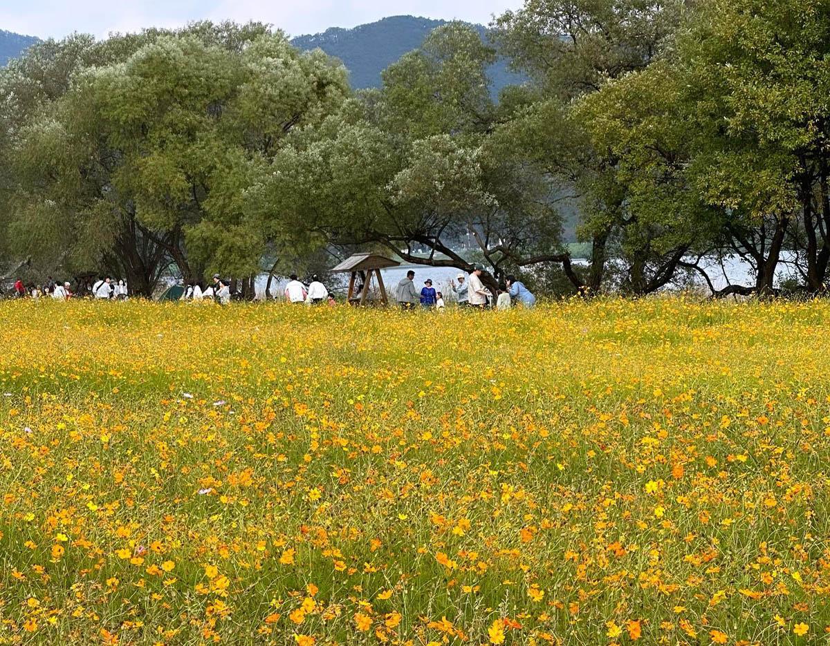 Namyangju Water Garden