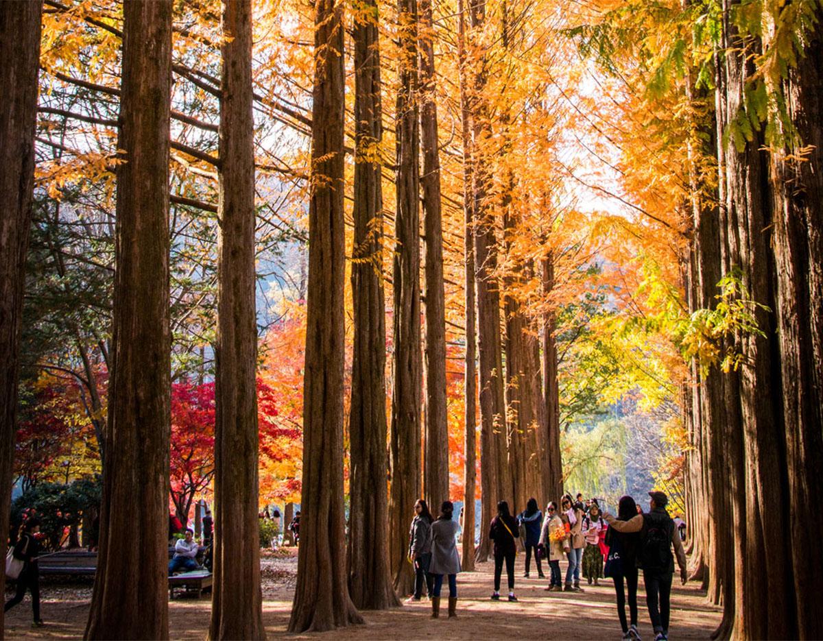 Nami Island