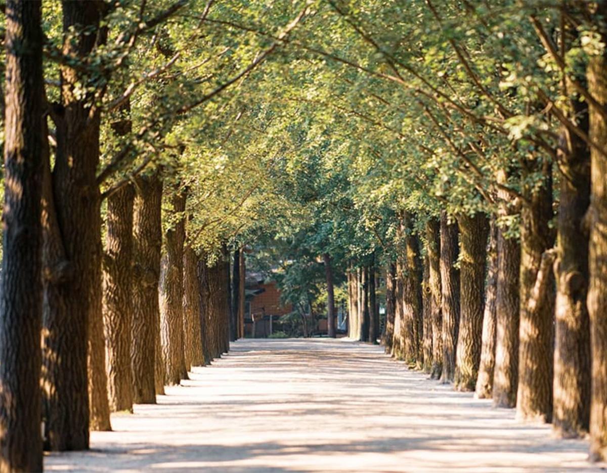 Nami Island