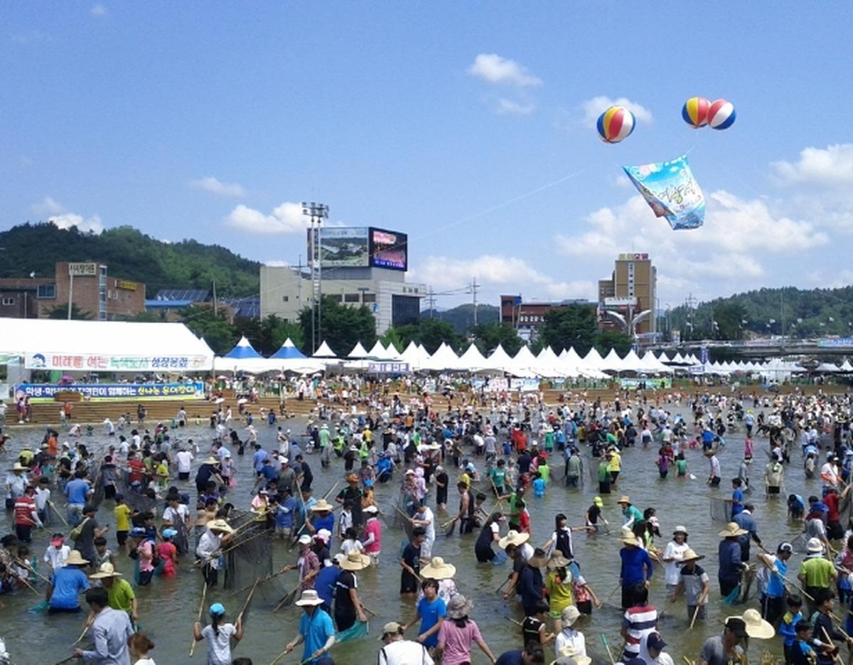 Bonghwa Sweetfish Festival